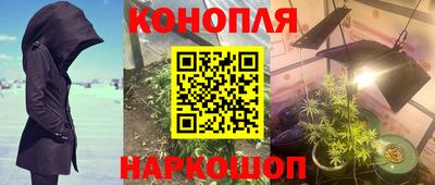 каннабис Берёзовский
