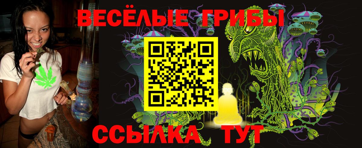 Псилоцибиновые грибы Psilocybe  Вход с VPN  закладка  Жигулёвск  Псилоцибиновые грибы MAGIC MUSHROOMS 
