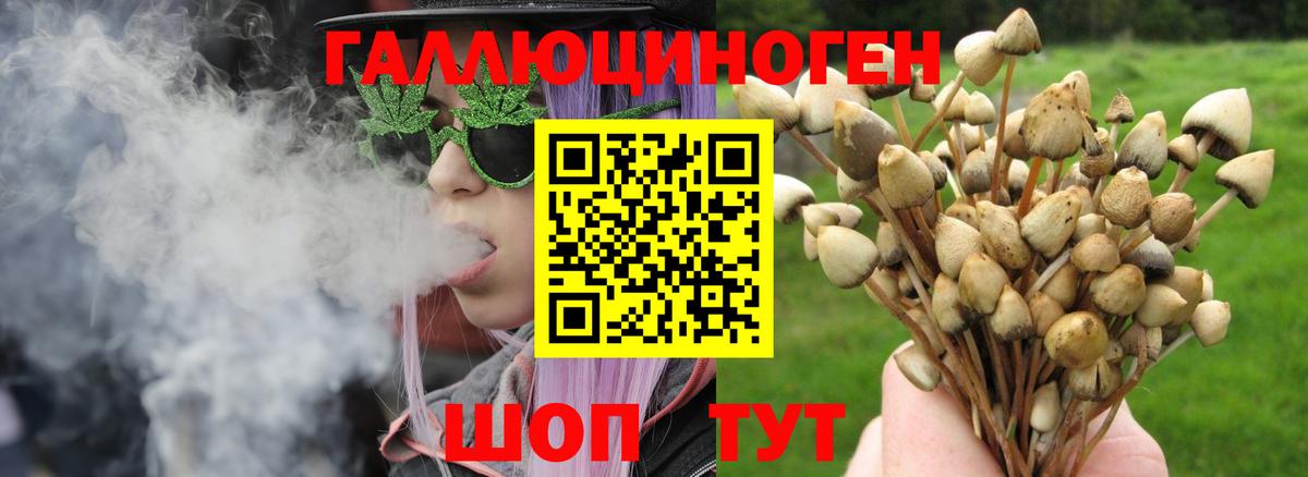 Галлюциногенные грибы GOLDEN TEACHER Жигулёвск